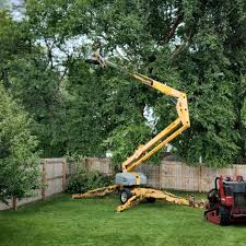 Best Lawn Mowing  in Cheverly, MD
