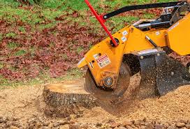 Best Stump Grinding and Removal  in Cheverly, MD